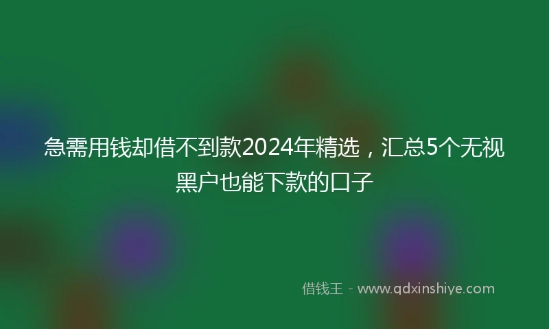 急需用钱却借不到款2024年精选，汇总5个无视黑户也能下款的口子