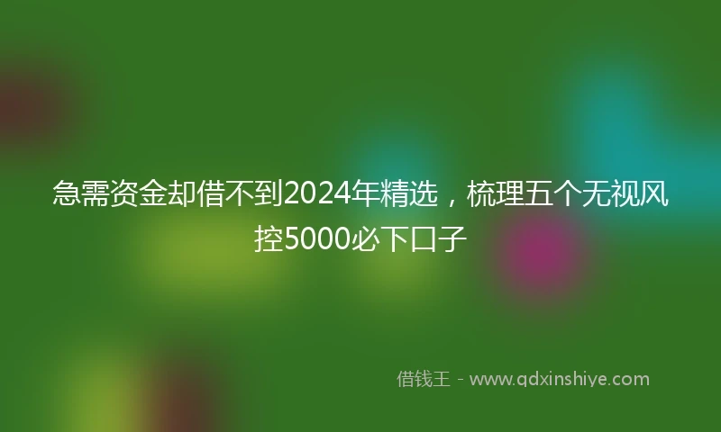 急需资金却借不到2024年精选，梳理五个无视风控5000必下口子