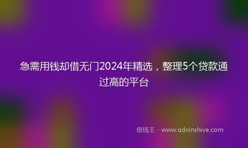 急需用钱却借无门2024年精选，整理5个贷款通过高的平台