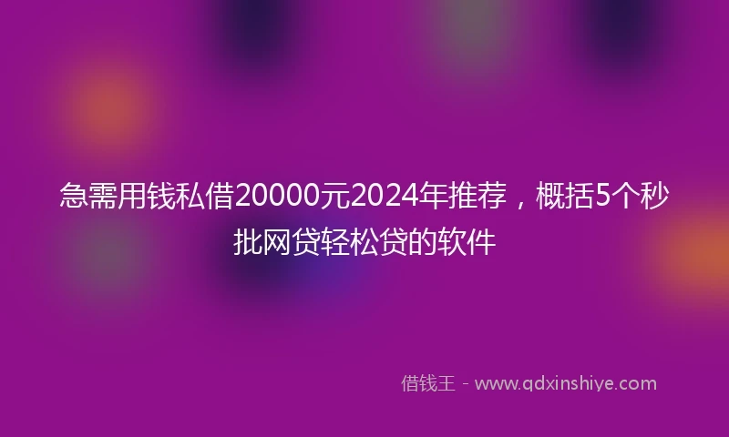 急需用钱私借20000元2024年推荐，概括5个秒批网贷轻松贷的软件