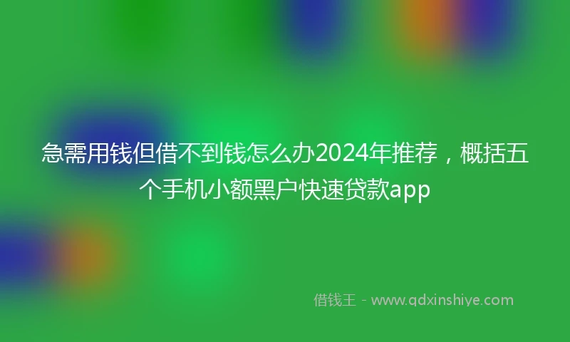 急需用钱但借不到钱怎么办2024年推荐，概括五个手机小额黑户快速贷款app
