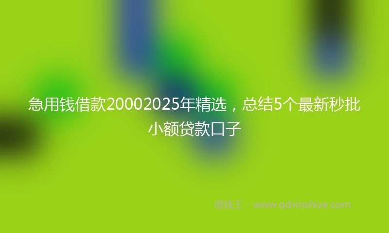 急用钱借款20002025年精选，总结5个最新秒批小额贷款口子