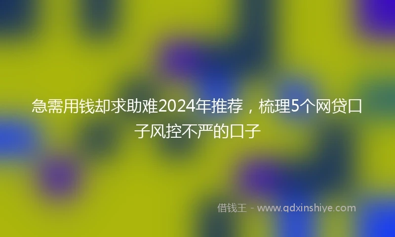 急需用钱却求助难2024年推荐，梳理5个网贷口子风控不严的口子