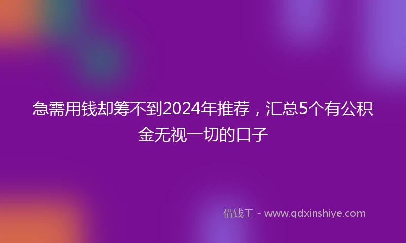 急需用钱却筹不到2024年推荐，汇总5个有公积金无视一切的口子