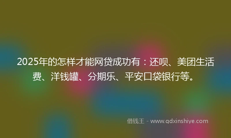 2025年的怎样才能网贷成功有：还呗、美团生活费、洋钱罐、分期乐、平安口袋银行等。