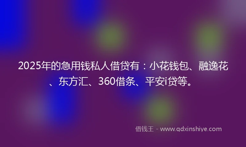 2025年的急用钱私人借贷有：小花钱包、融逸花、东方汇、360借条、平安i贷等。