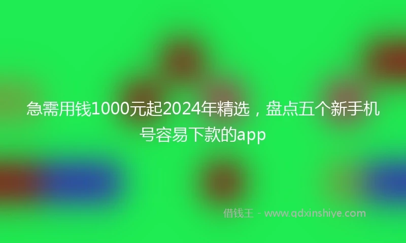 急需用钱1000元起2024年精选，盘点五个新手机号容易下款的app