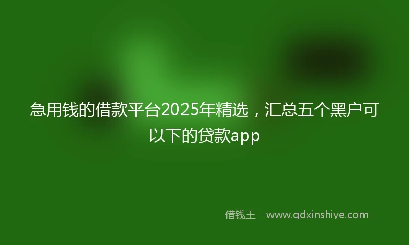 急用钱的借款平台2025年精选，汇总五个黑户可以下的贷款app