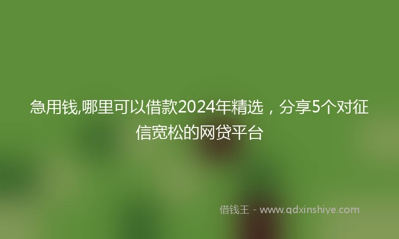 急用钱,哪里可以借款2024年精选，分享5个对征信宽松的网贷平台