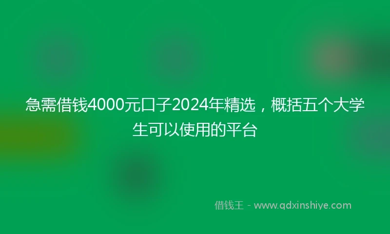 急需借钱4000元口子2024年精选，概括五个大学生可以使用的平台
