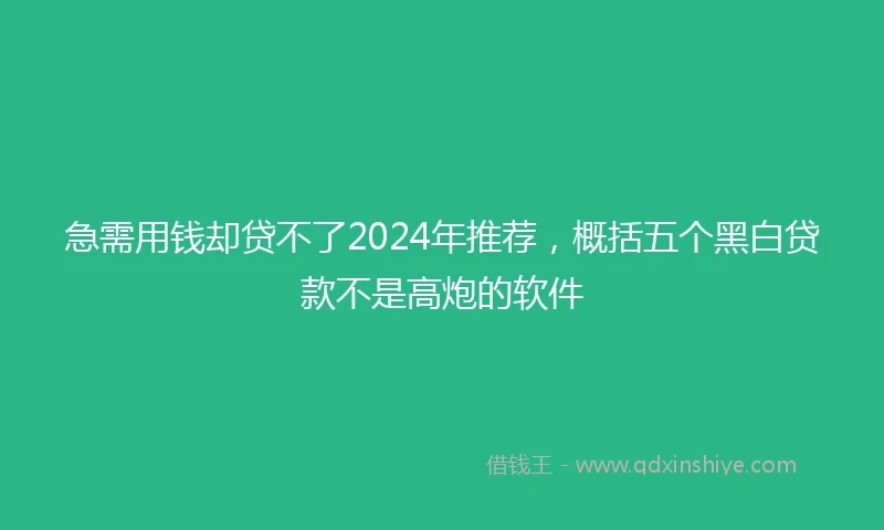 急需用钱却贷不了2024年推荐，概括五个黑白贷款不是高炮的软件