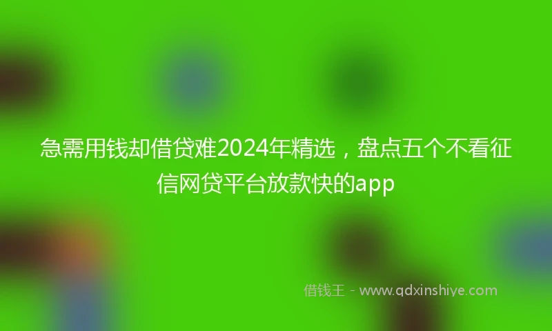 急需用钱却借贷难2024年精选，盘点五个不看征信网贷平台放款快的app