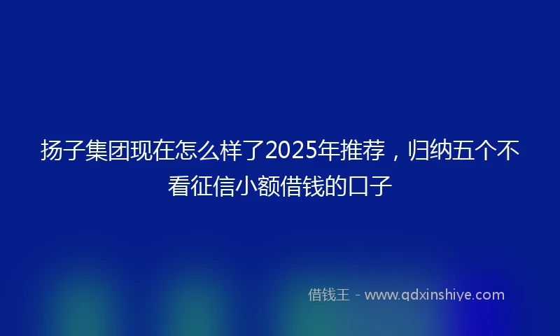 扬子集团现在怎么样了2025年推荐，归纳五个不看征信小额借钱的口子
