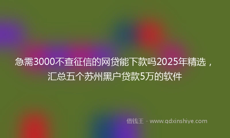 急需3000不查征信的网贷能下款吗2025年精选，汇总五个苏州黑户贷款5万的软件