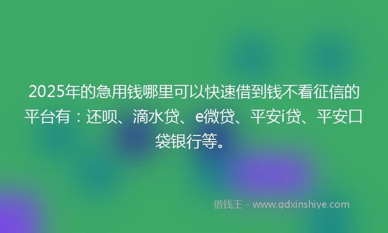 2025年的急用钱哪里可以快速借到钱不看征信的平台有：还呗、滴水贷、e微贷、平安i贷、平安口袋银行等。