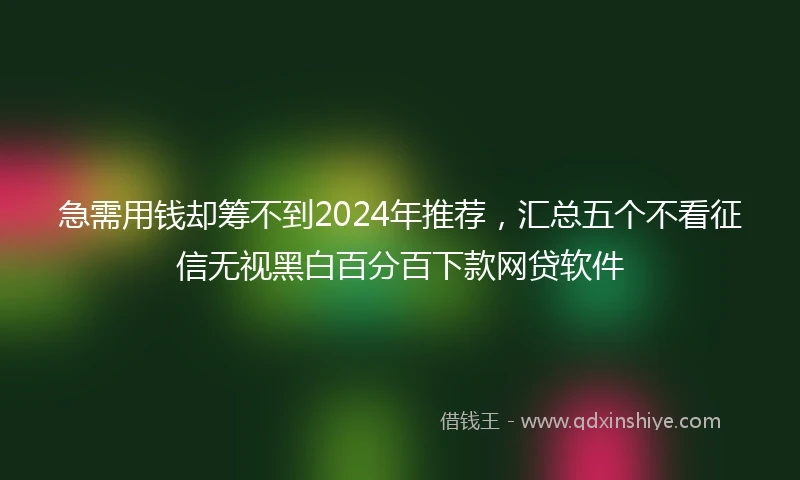 急需用钱却筹不到2024年推荐，汇总五个不看征信无视黑白百分百下款网贷软件