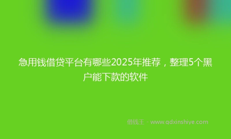 急用钱借贷平台有哪些2025年推荐，整理5个黑户能下款的软件