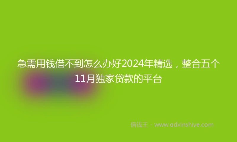 急需用钱借不到怎么办好2024年精选，整合五个11月独家贷款的平台