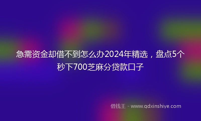 急需资金却借不到怎么办2024年精选，盘点5个秒下700芝麻分贷款口子
