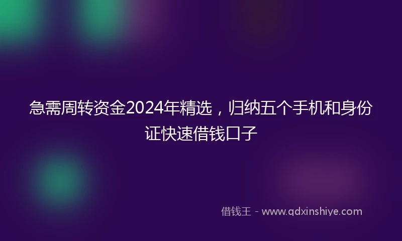 急需周转资金2024年精选，归纳五个手机和身份证快速借钱口子