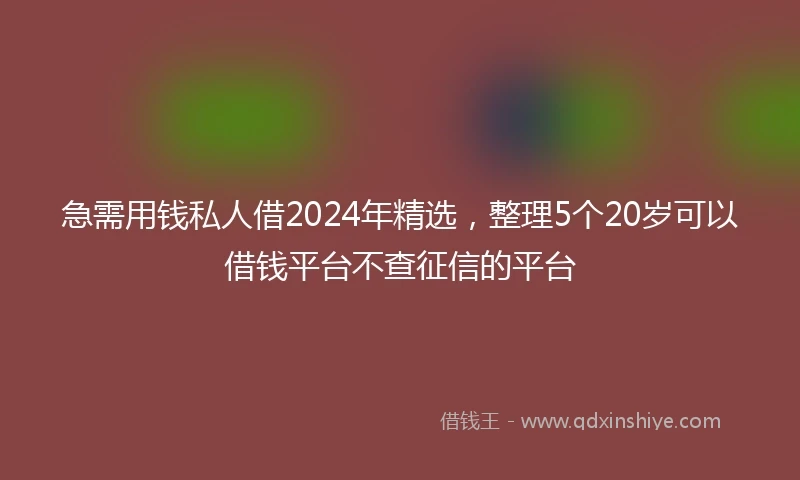 急需用钱私人借2024年精选，整理5个20岁可以借钱平台不查征信的平台