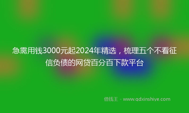 急需用钱3000元起2024年精选，梳理五个不看征信负债的网贷百分百下款平台