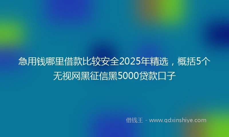 急用钱哪里借款比较安全2025年精选，概括5个无视网黑征信黑5000贷款口子