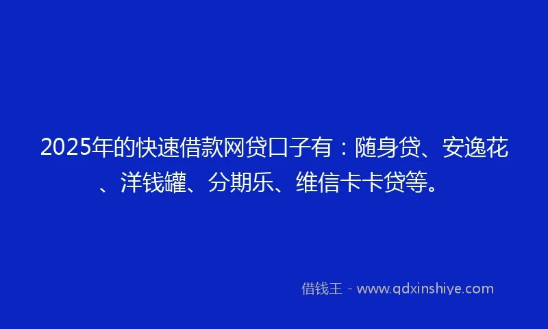 2025年的快速借款网贷口子有：随身贷、安逸花、洋钱罐、分期乐、维信卡卡贷等。