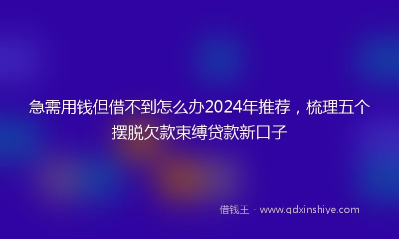 急需用钱但借不到怎么办2024年推荐，梳理五个摆脱欠款束缚贷款新口子