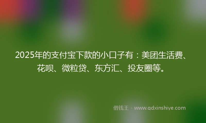 2025年的支付宝下款的小口子有:美团生活费、花呗、微粒贷、东方汇、投友圈等。