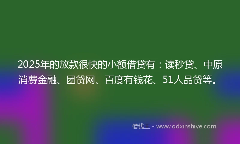 2025年的放款很快的小额借贷有：读秒贷、中原消费金融、团贷网、百度有钱花、51人品贷等。