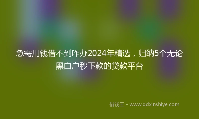 急需用钱借不到咋办2024年精选，归纳5个无论黑白户秒下款的贷款平台