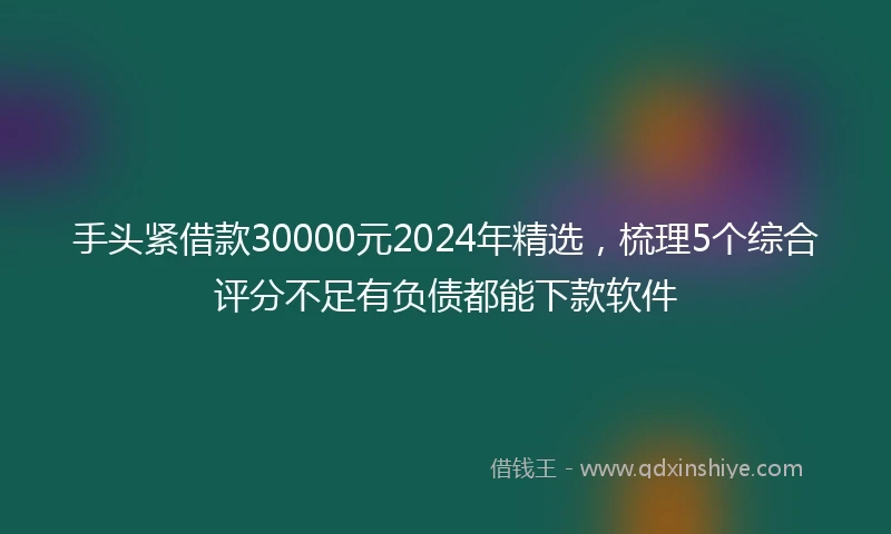 手头紧借款30000元2024年精选，梳理5个综合评分不足有负债都能下款软件