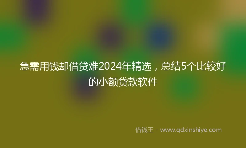 急需用钱却借贷难2024年精选，总结5个比较好的小额贷款软件