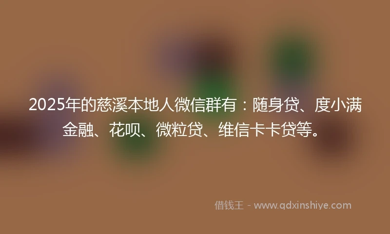 2025年的慈溪本地人微信群有：随身贷、度小满金融、花呗、微粒贷、维信卡卡贷等。