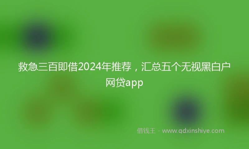 救急三百即借2024年推荐，汇总五个无视黑白户网贷app
