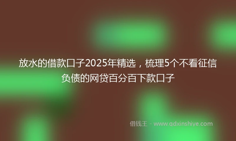 放水的借款口子2025年精选，梳理5个不看征信负债的网贷百分百下款口子