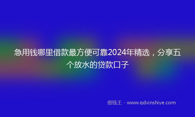 急用钱哪里借款最方便可靠2024年精选，分享五个放水的贷款口子