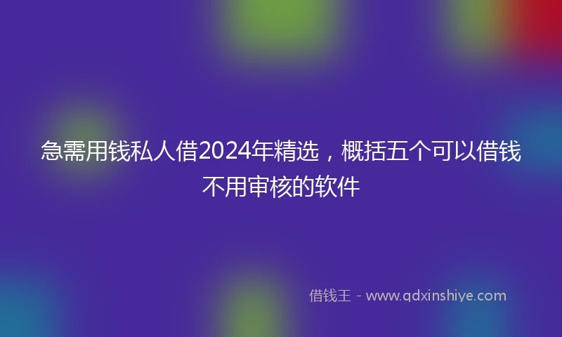 急需用钱私人借2024年精选，概括五个可以借钱不用审核的软件