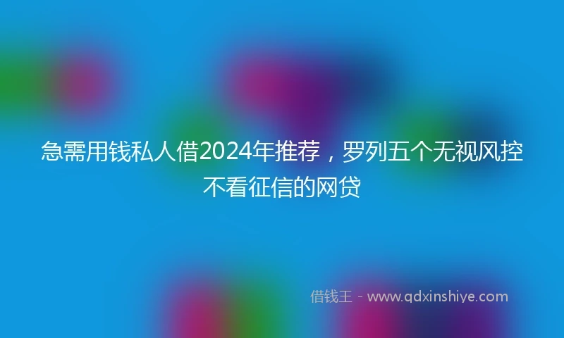 急需用钱私人借2024年推荐，罗列五个无视风控不看征信的网贷