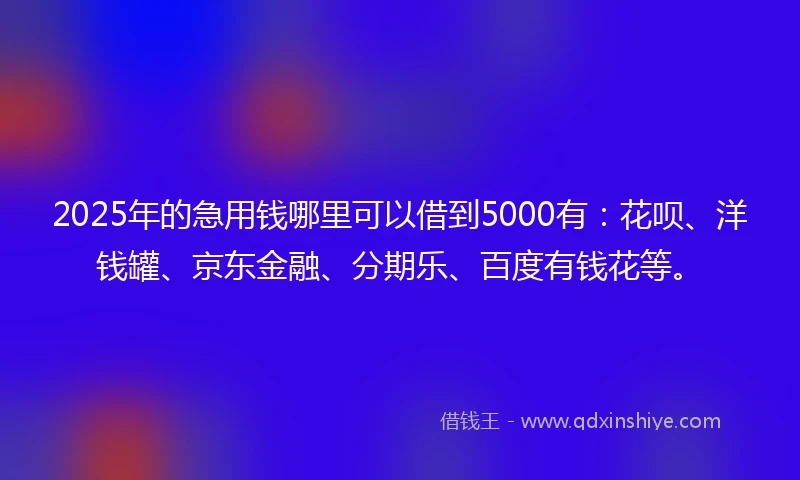 2025年的急用钱哪里可以借到5000有：花呗、洋钱罐、京东金融、分期乐、百度有钱花等。