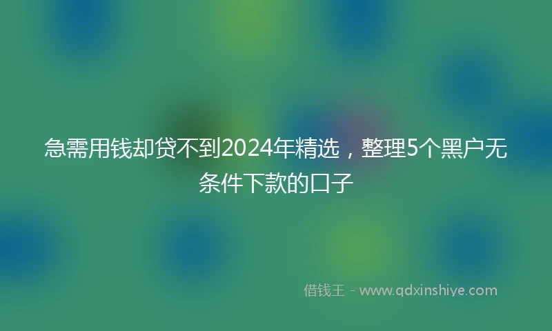 急需用钱却贷不到2024年精选，整理5个黑户无条件下款的口子