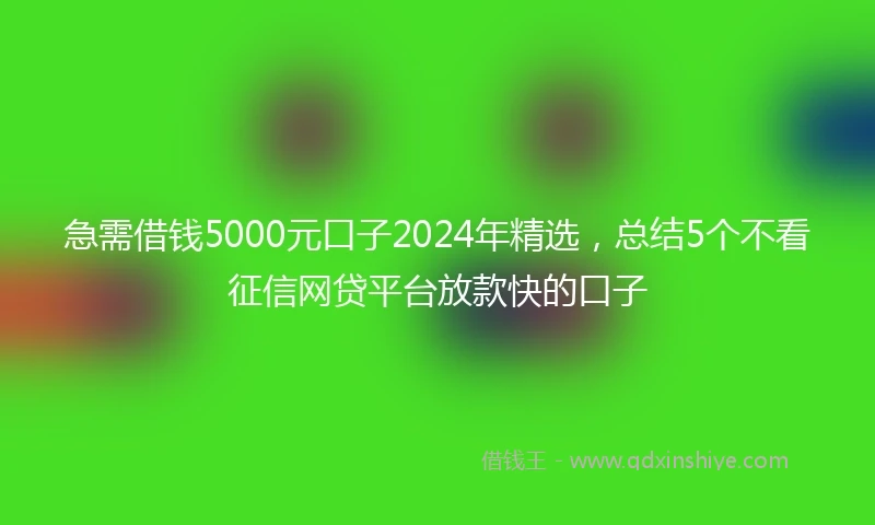 急需借钱5000元口子2024年精选，总结5个不看征信网贷平台放款快的口子