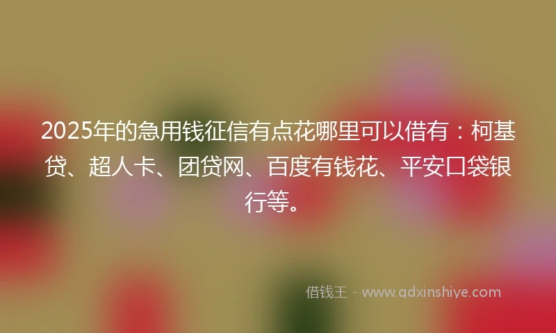 2025年的急用钱征信有点花哪里可以借有：柯基贷、超人卡、团贷网、百度有钱花、平安口袋银行等。