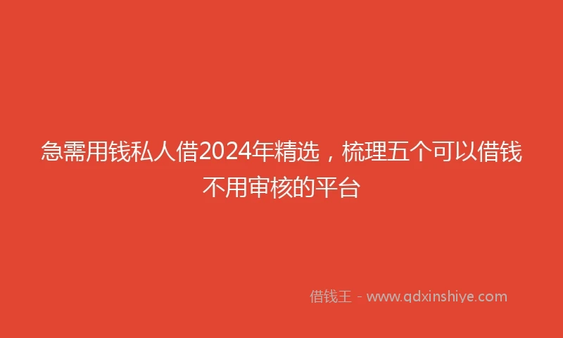 急需用钱私人借2024年精选，梳理五个可以借钱不用审核的平台