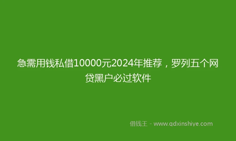 急需用钱私借10000元2024年推荐，罗列五个网贷黑户必过软件