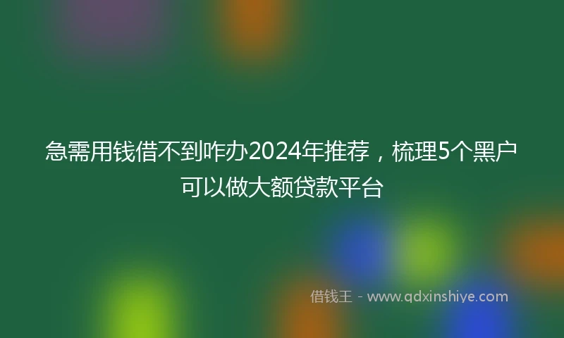 急需用钱借不到咋办2024年推荐，梳理5个黑户可以做大额贷款平台