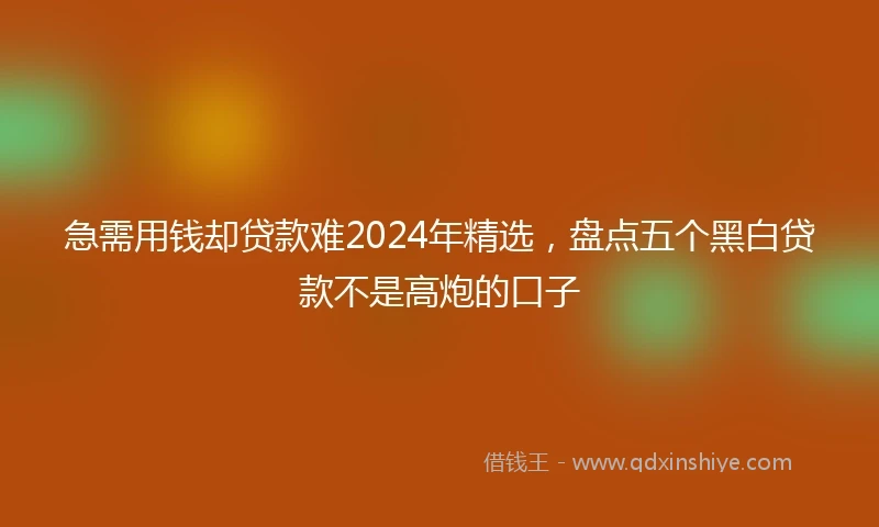 急需用钱却贷款难2024年精选，盘点五个黑白贷款不是高炮的口子