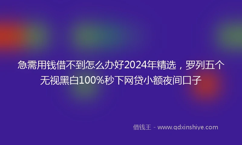 急需用钱借不到怎么办好2024年精选，罗列五个无视黑白100%秒下网贷小额夜间口子
