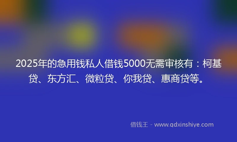 2025年的急用钱私人借钱5000无需审核有：柯基贷、东方汇、微粒贷、你我贷、惠商贷等。